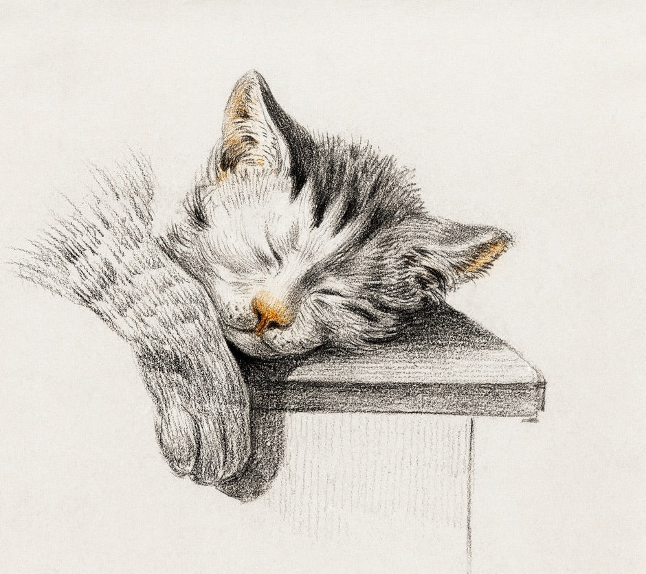 Sleeping Tabby Cat Jean Bernard