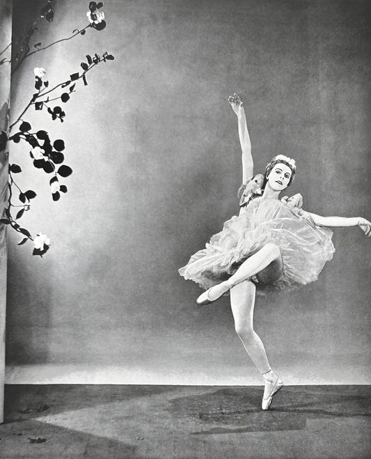 Vintage Ballet Photographic Print Tchaikovsky Jill Gregory The Camelia Fairy