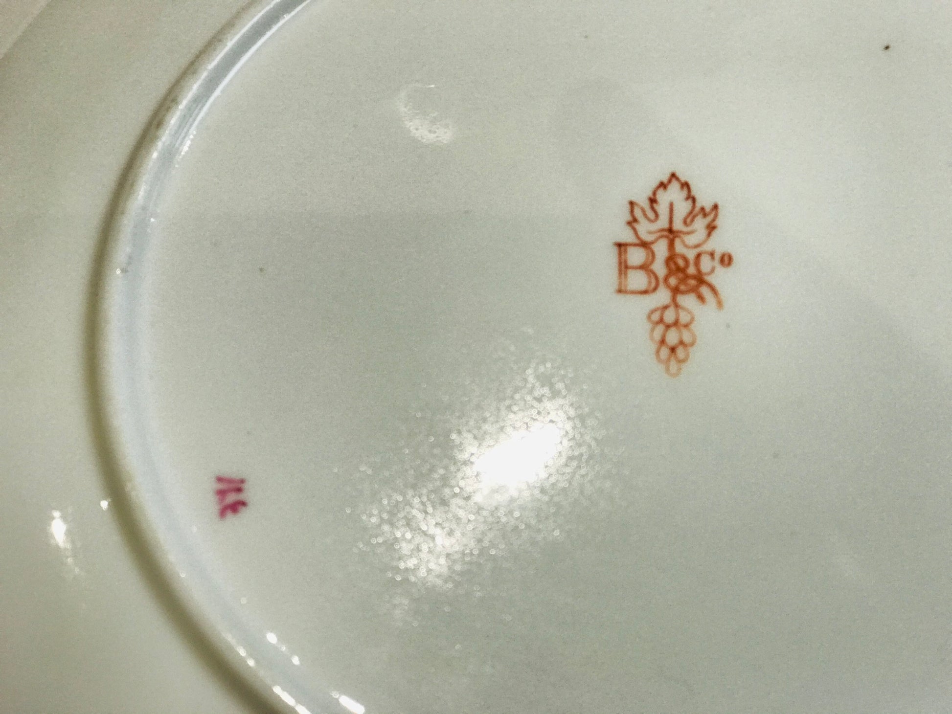 B&Co Antique china Tea cup saucer set