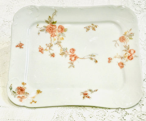 LIMOGE french plate