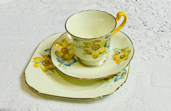 PARAGON Narcissus  Daffodil Tea Set